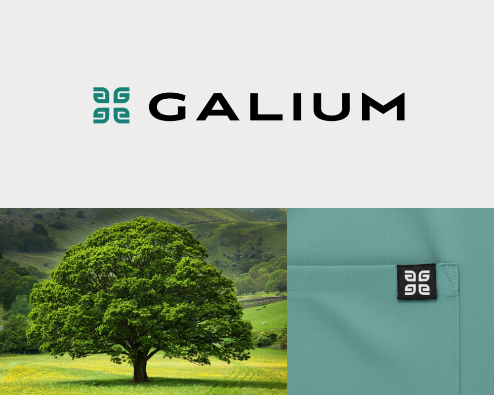 Древо жизни — варианты знака