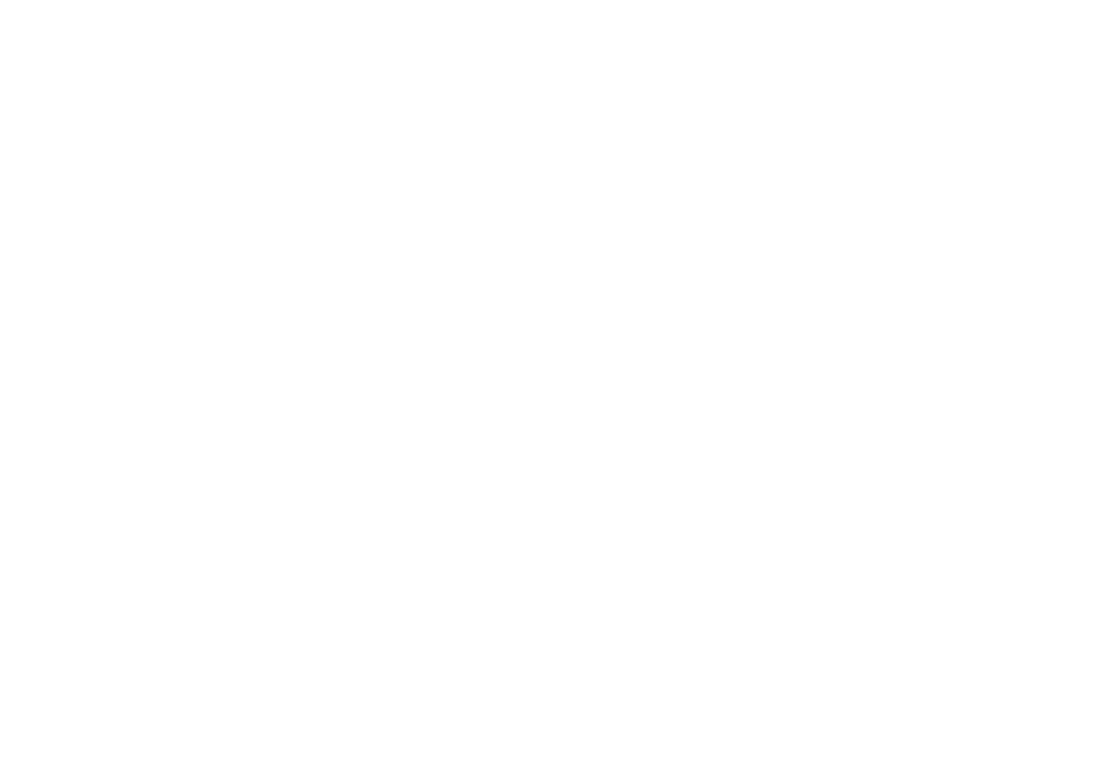 новый логотип ISSAI