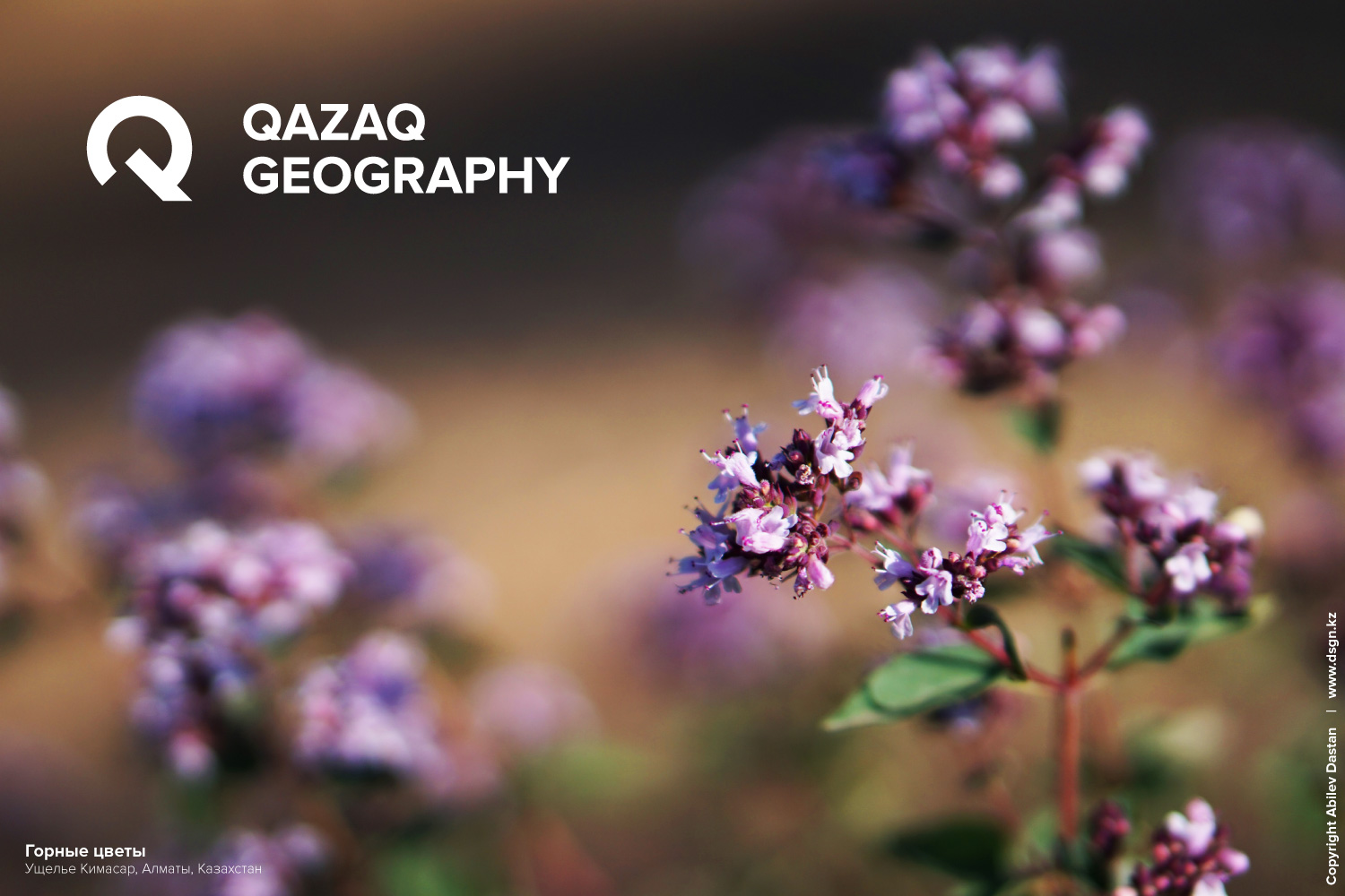 концепт нового логотипа qazaq geography на фото